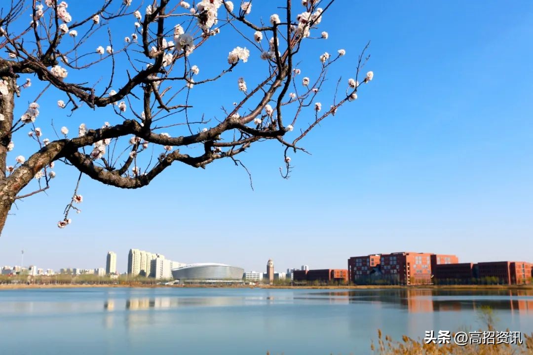 云南专科学校有哪些专业好就业,云南专科最适合的专业就业率高