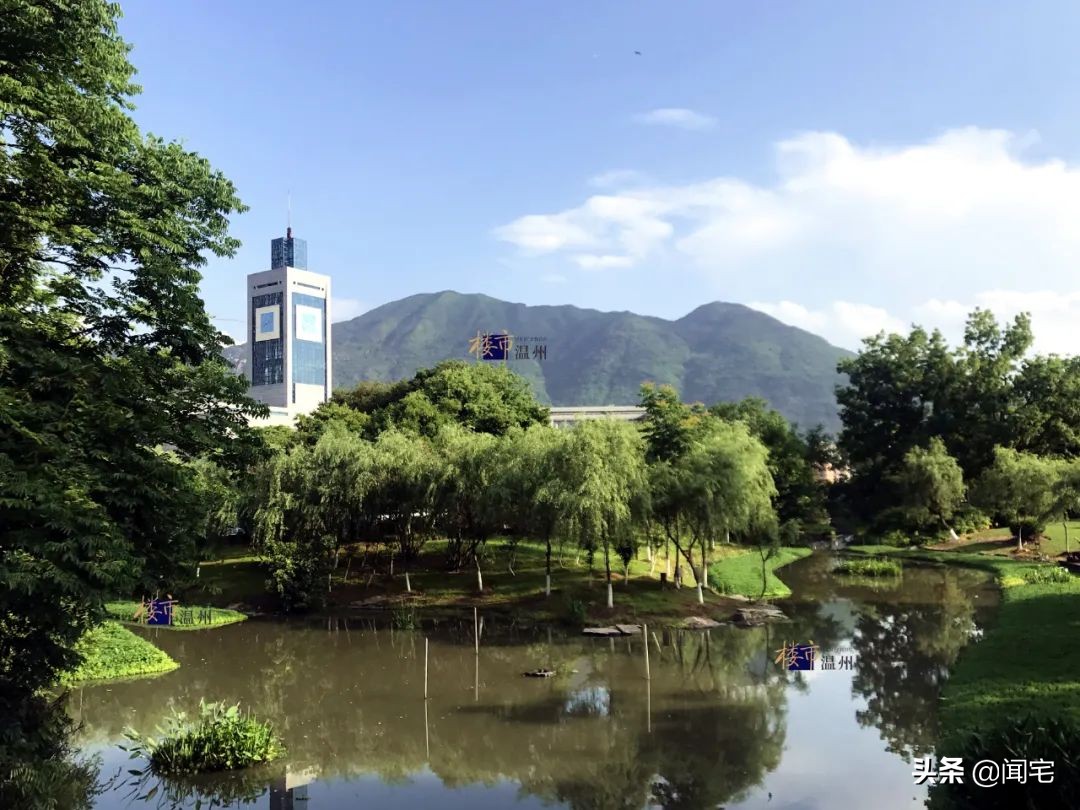 浙江温州环境怎么样,为啥温州的环境变好了