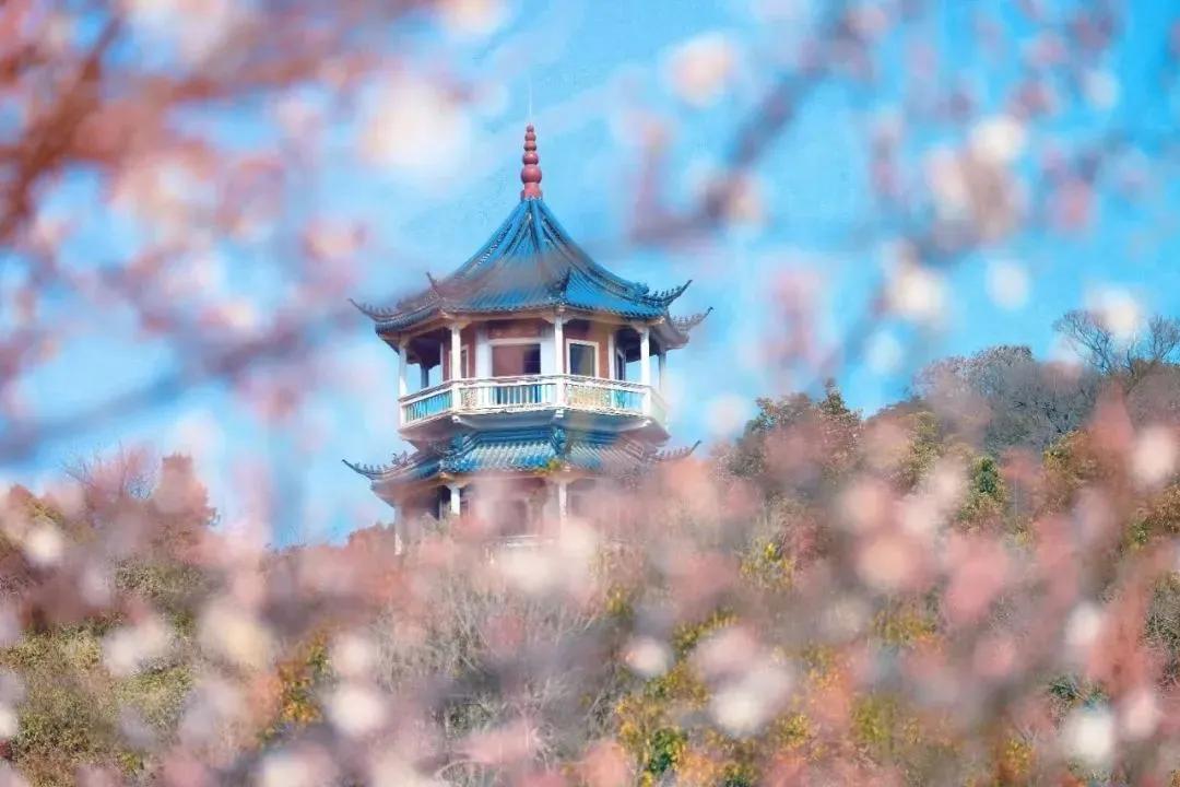 无锡梅园（六）荣氏兄弟黄金搭档