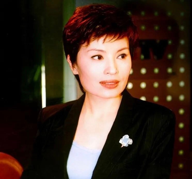 央视主播李瑞英儿子两次坠楼,央视主播李瑞英儿子坠楼后怎样了