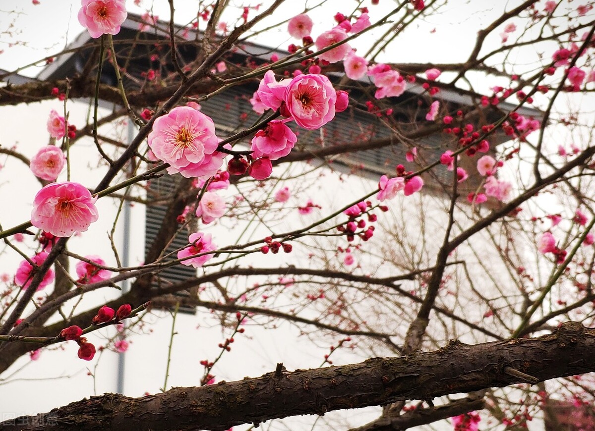 安静常州,常州以前的城中城