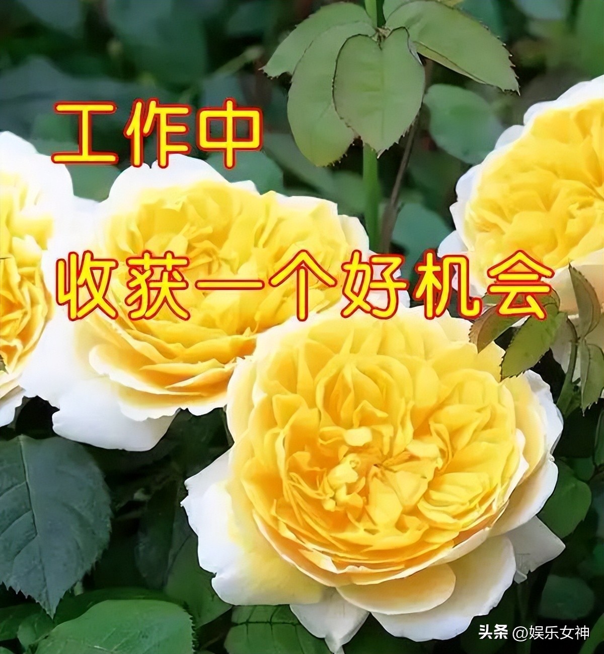 立秋早上好表情大全,最新立秋表情包可爱图片