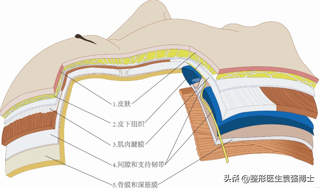 脸下垂松弛提升最好的办法,55岁脸部松弛下垂做什么锻炼紧致