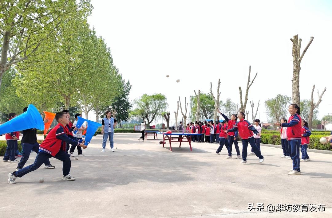 潍坊校园新闻周播报,最新新闻周播报