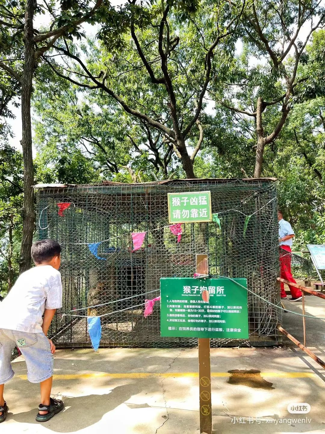 信阳南湾湖一日游详细攻略,信阳三日游攻略