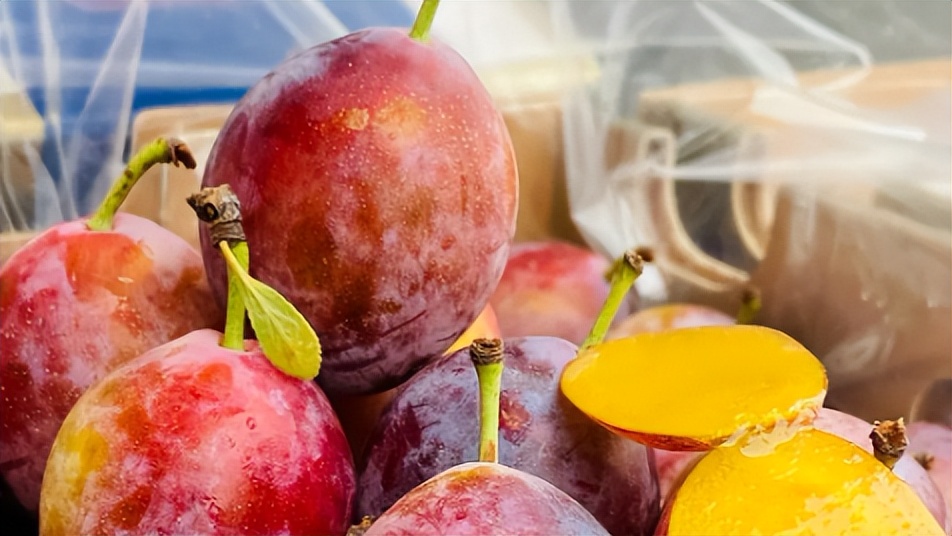 西梅汁可以通便吗会影响什么,西梅汁可以改善便秘吗女性