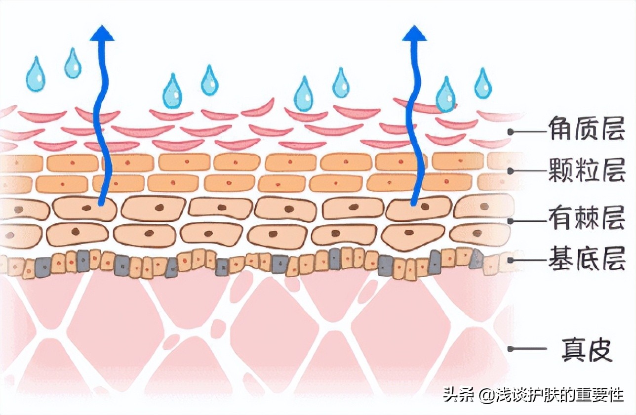 用完洗面奶后脸上干燥起皮怎么办,用完洗面奶脸部紧绷起皮怎么回事