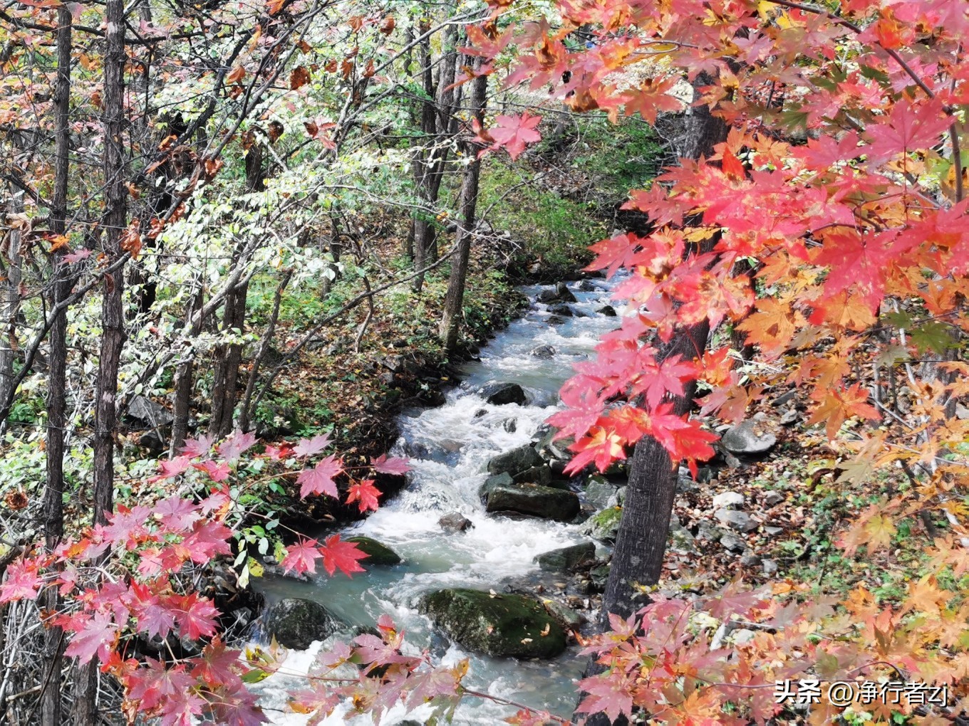 图们江口岸游记,从图们市到牡丹江自驾游