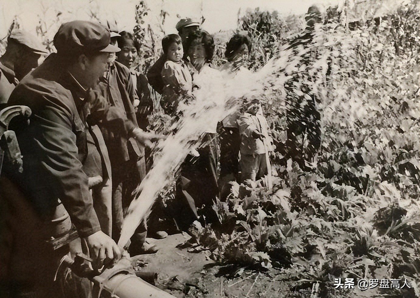 80年代沈阳老工厂大门照片,沈阳90年代铁西308大院老照片