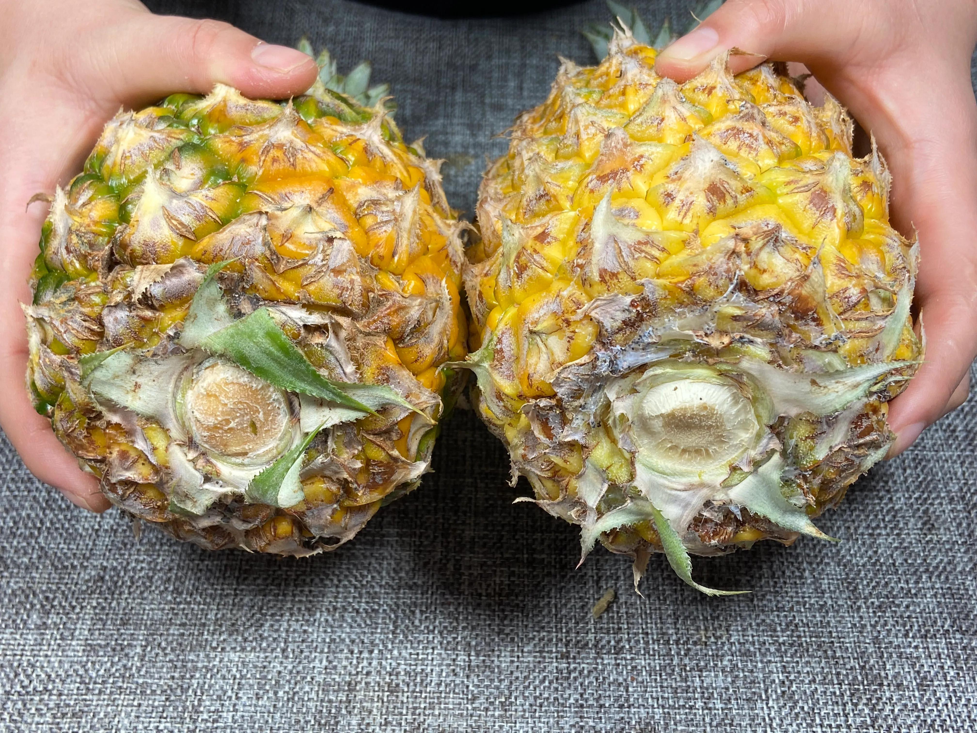 如何让菠萝变甜又不扎嘴了,菠萝甜不甜怎么补救