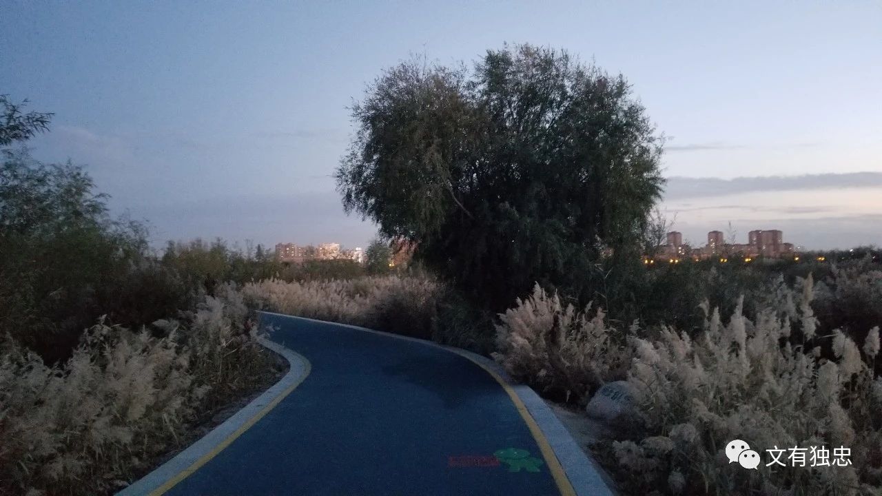 运动跑步记,跑步记视频