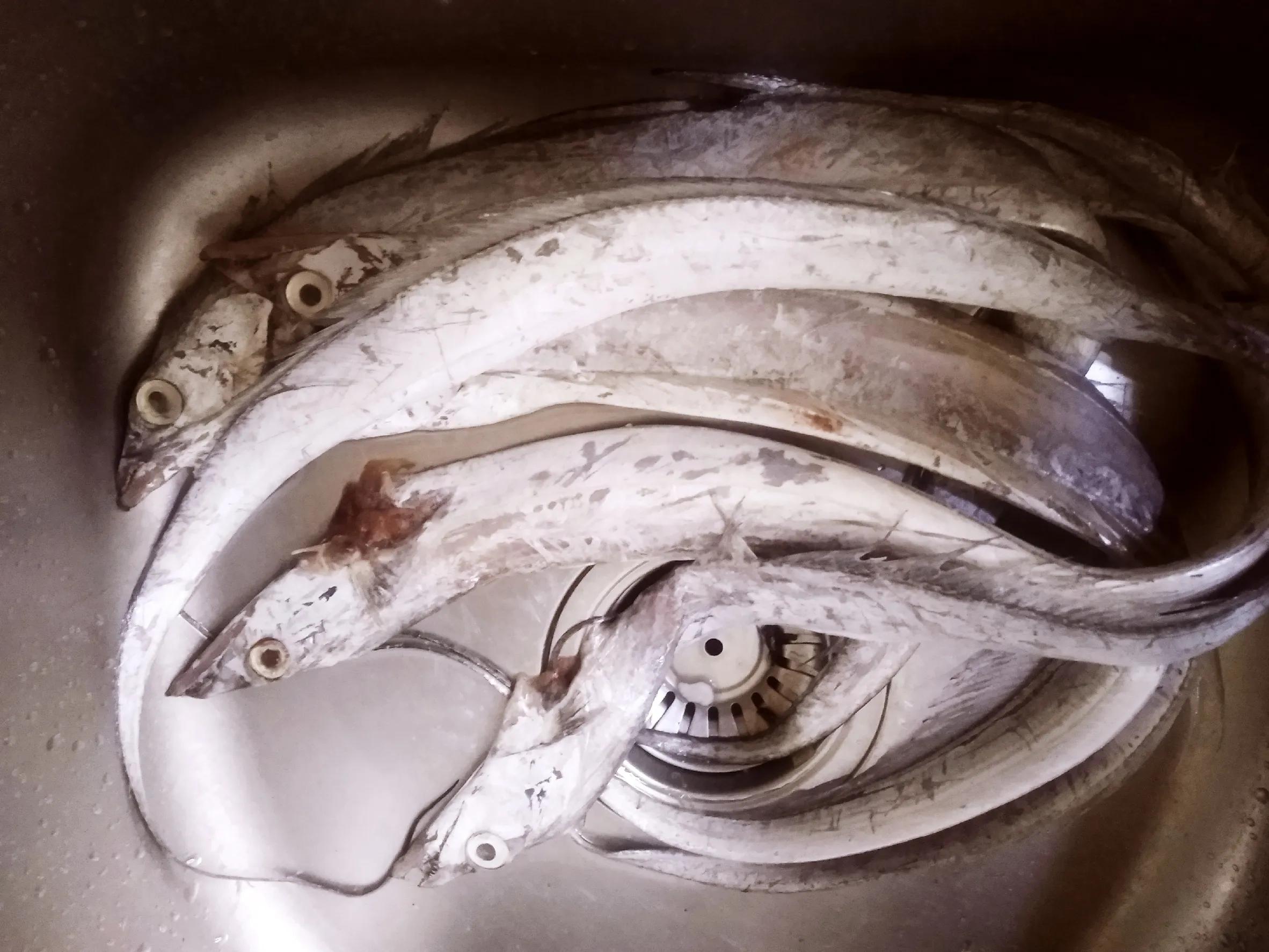 带鱼是深海养殖吗,带鱼是深海的还是养殖的