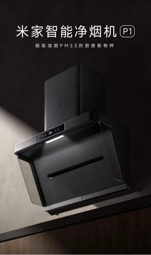 油烟机净化跟去味的有什么区别,pm2.5抽油烟机有哪些