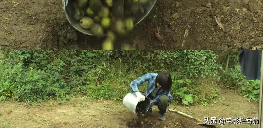 豆瓣9.0，日本乡间简素的一餐一饭，治好了无数人的“精神内耗”