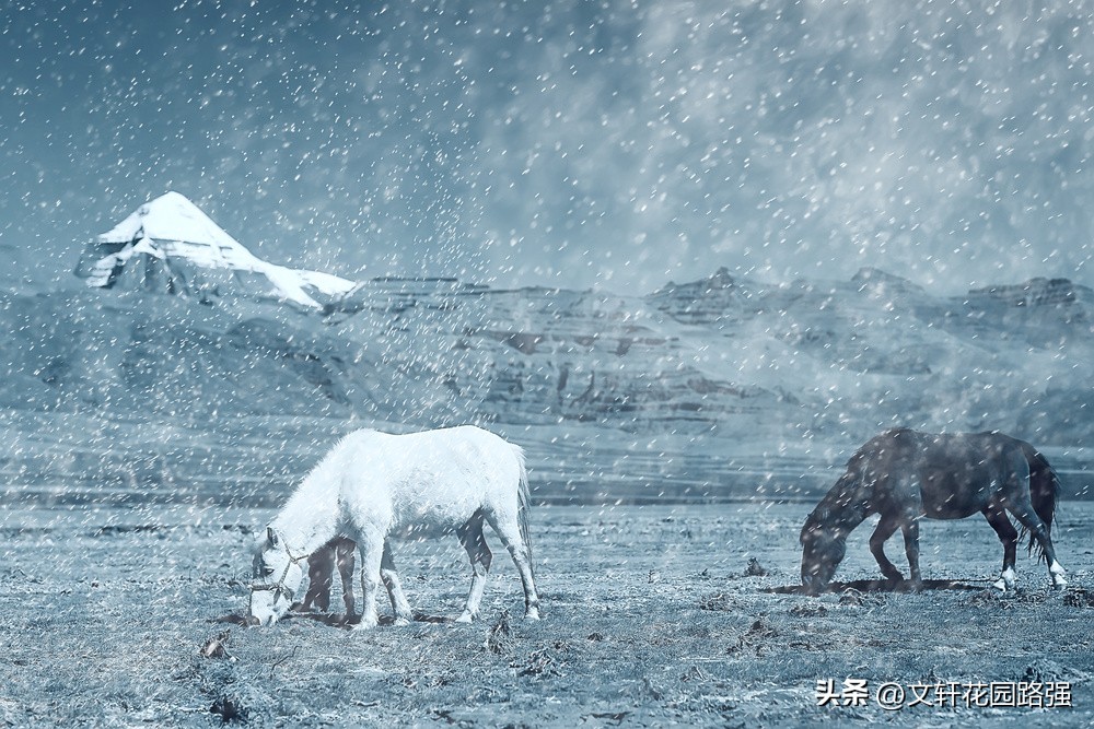 立冬诗词赏析大全,立冬诗词全集100首