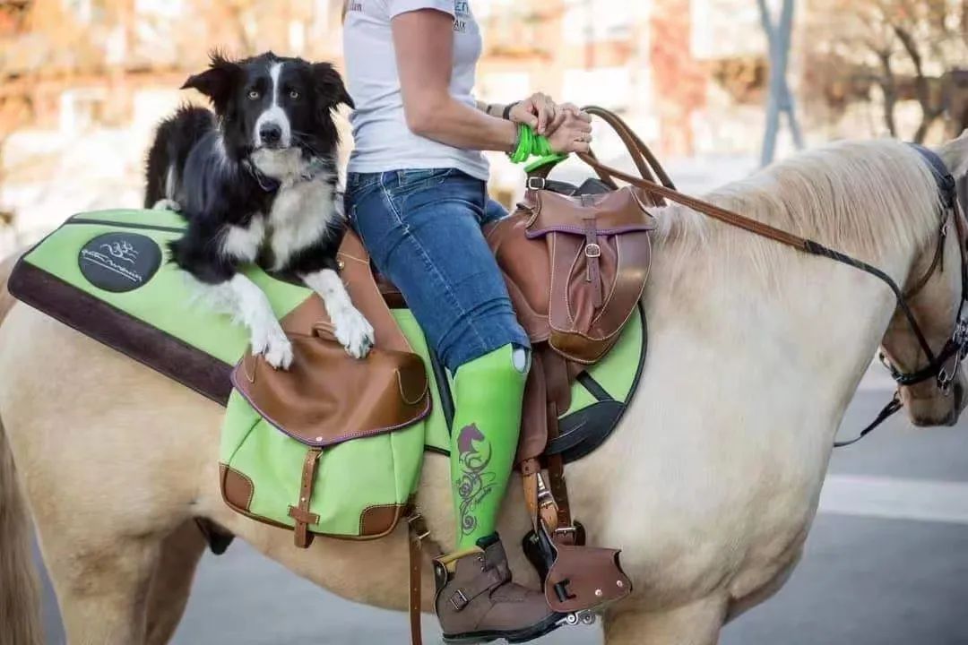 耐力赛骑手和马匹的装备，该如何选择？