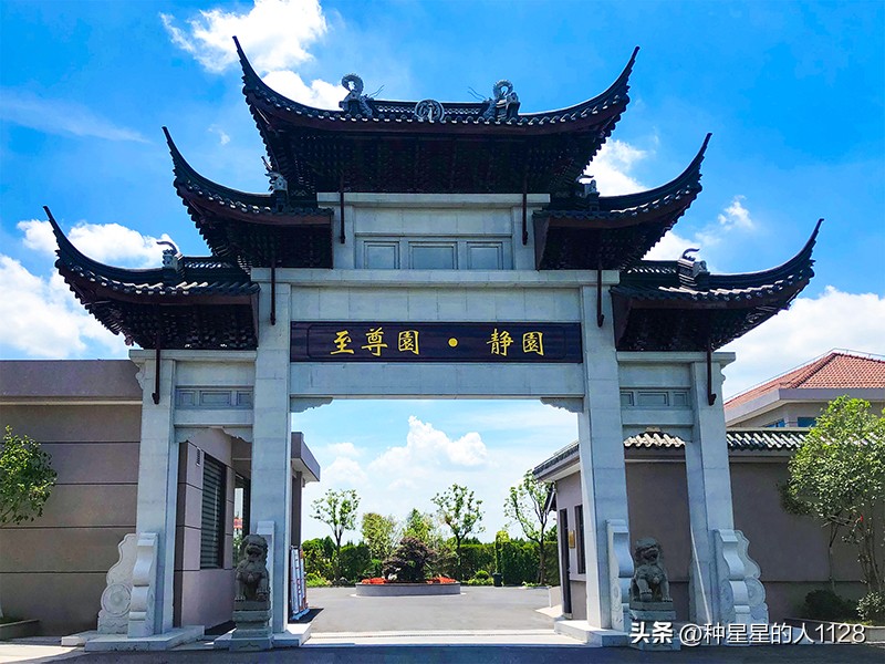 上海墓园树葬和壁葬的价格,上海松鹤墓园今天扫墓有何规定