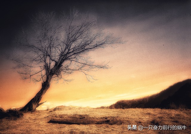 你想怎么样呢搞笑录音,你想怎么样啊原视频