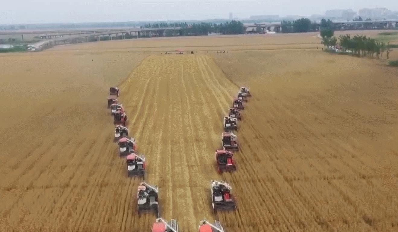 “malimaliHong！”这里有一份颗粒归仓的秘诀→