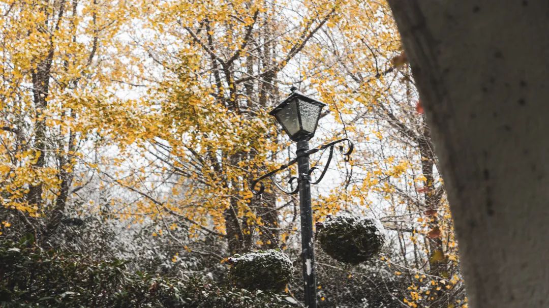 入住城堡酒店,入住太湖瑞峰酒店