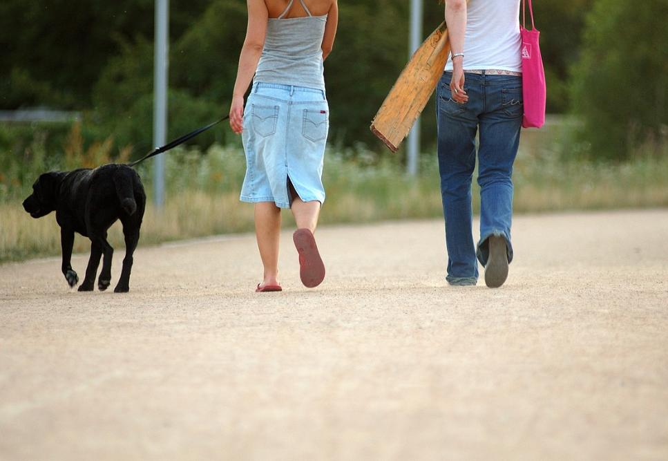 女性为什么会出现肛裂,为什么女人更容易得肛裂呢