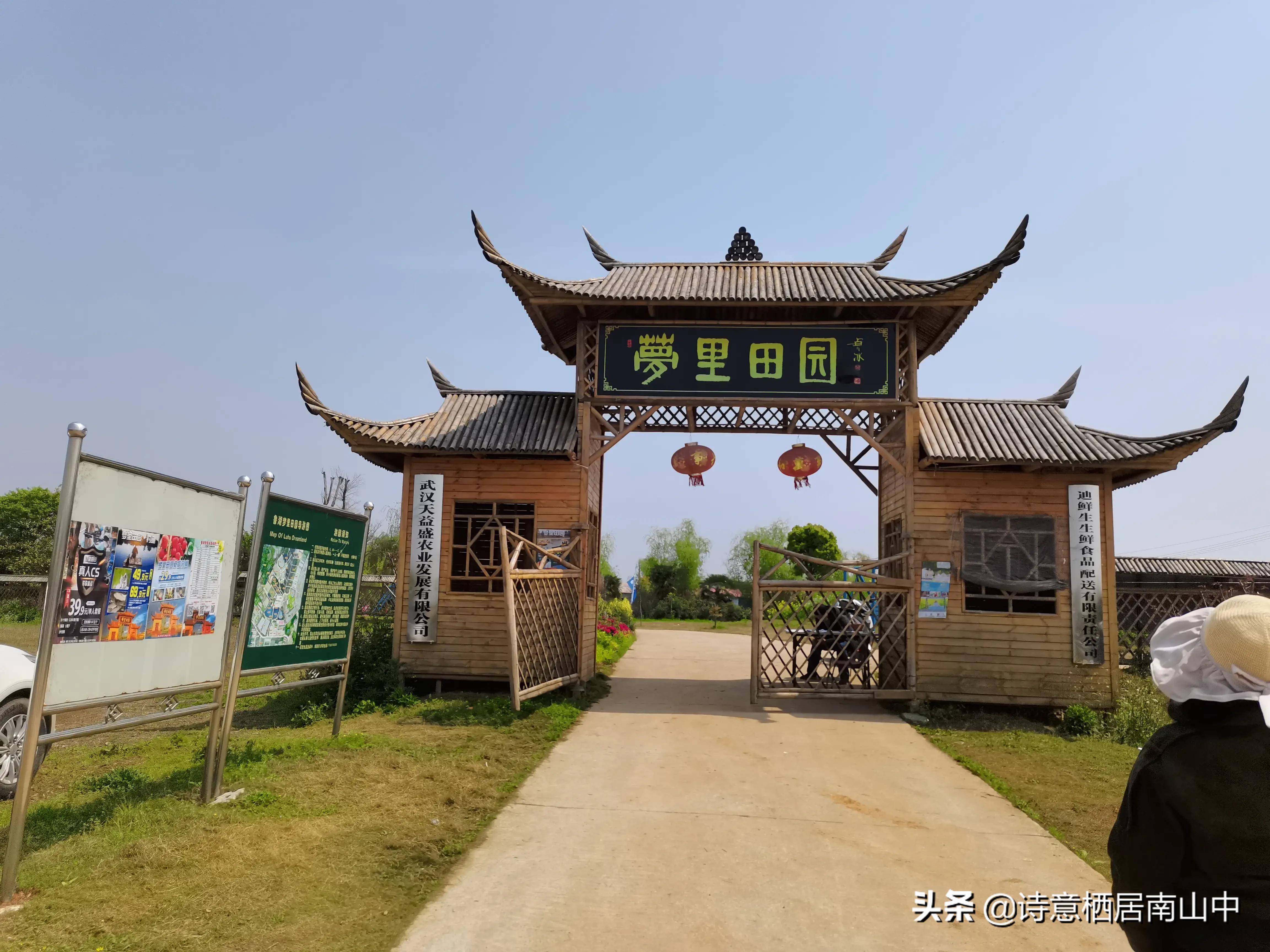 江夏鲁湖湿地公园,江夏金口鲁湖梦里田园