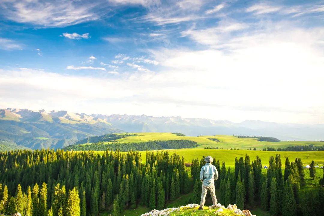 那拉提空中草原雪景照片,大草原的壮丽雪景图