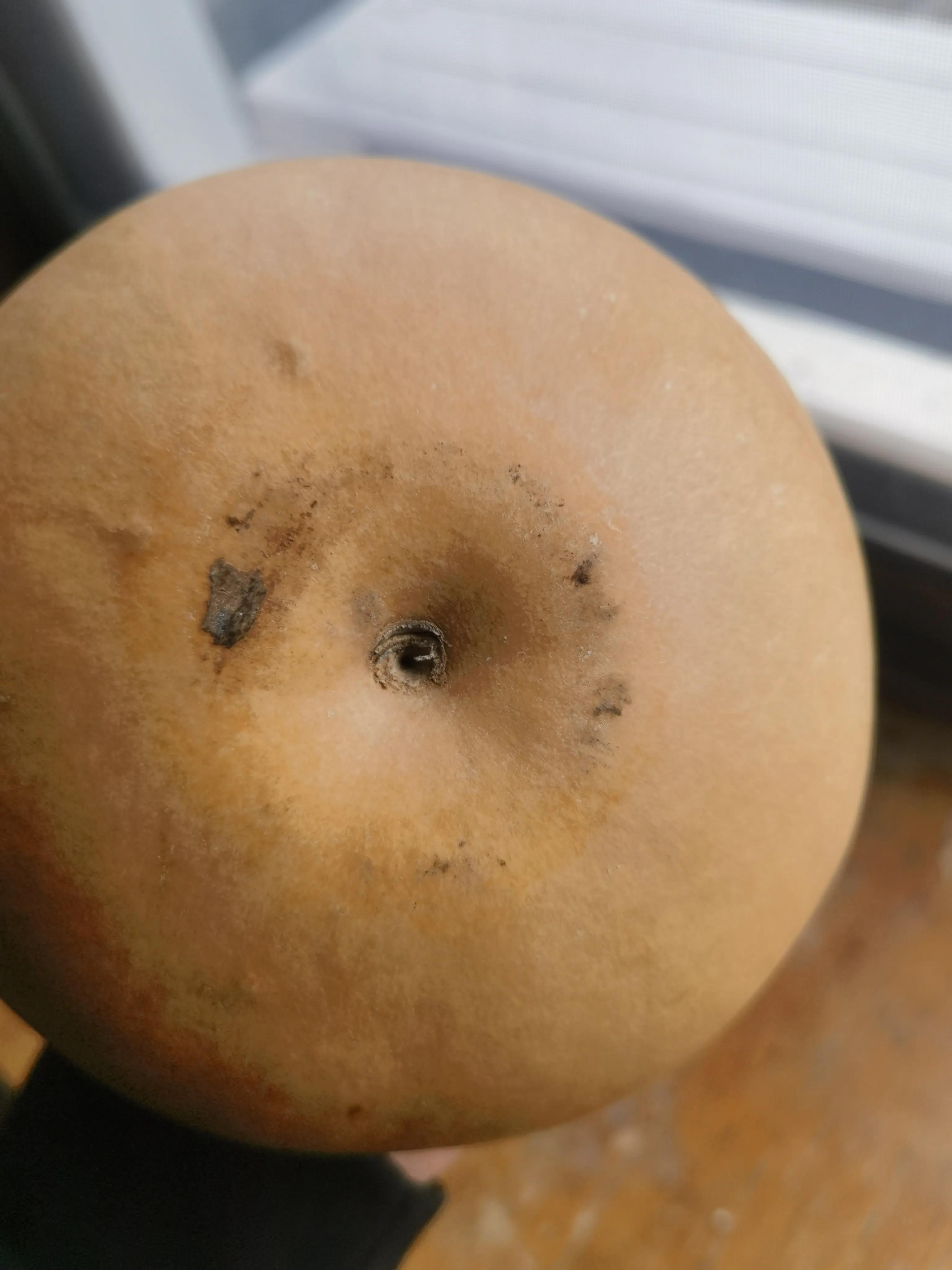 葫芦盘玩手法教程视频,盘葫芦时为什么把龙头用线缠上