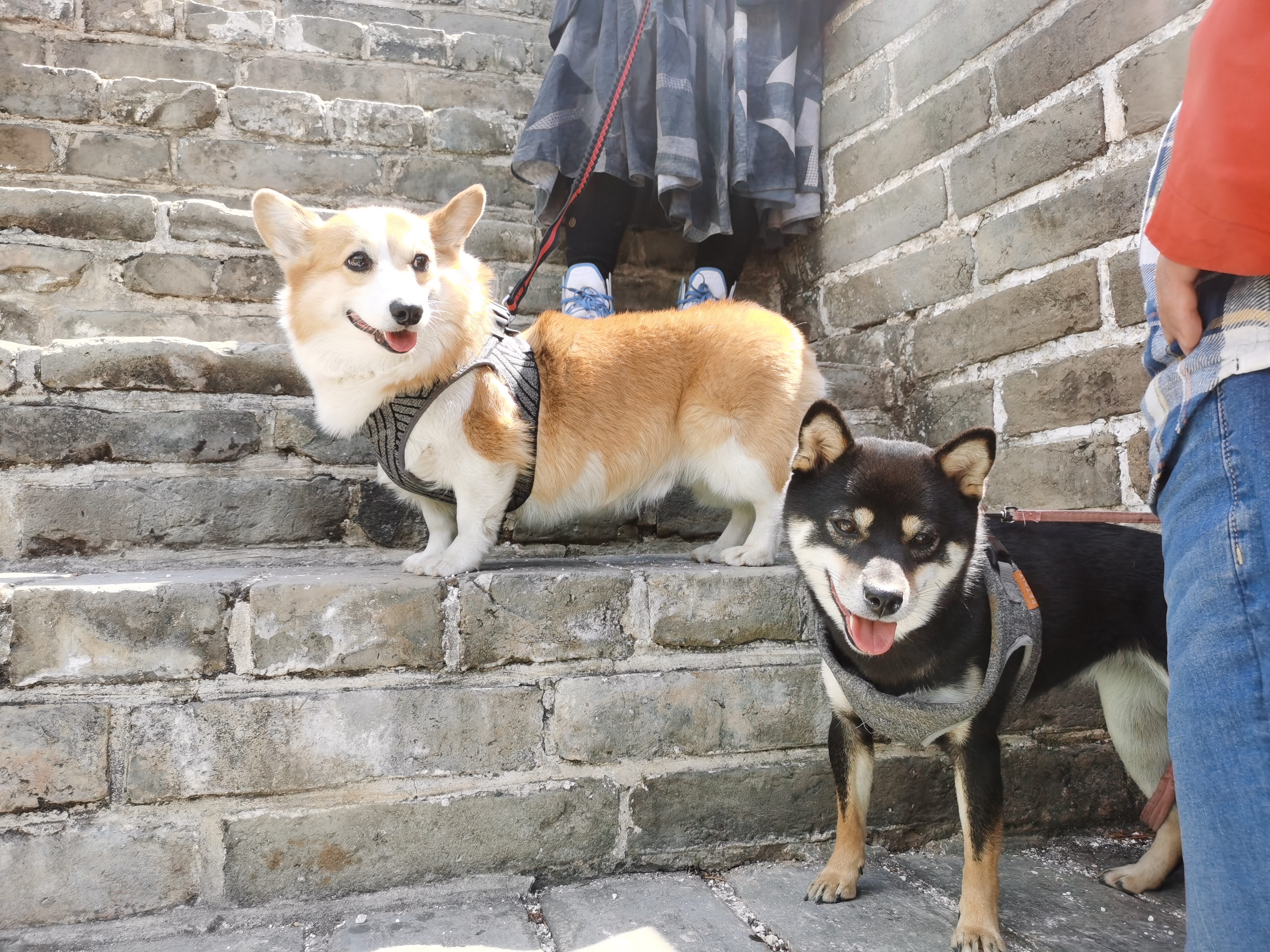 黄花城水长城旅游攻略,行走万里长城之旅