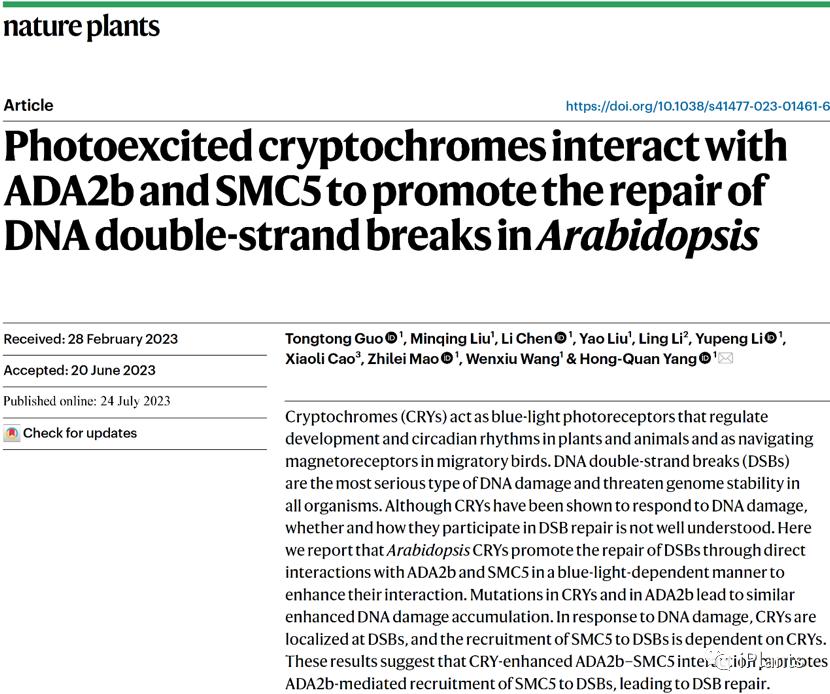 【NaturePlants】突破！上海师大揭示蓝光调控DNA修复新的途径
