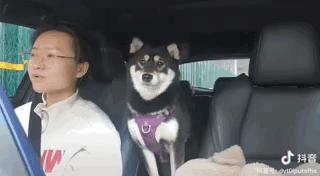 濂崇敓鍋氳揣鎷夋媺鍙告満,濂冲瀛愬仛鍙告満璺戣揣鎷夋媺