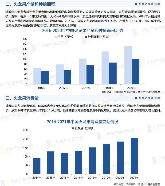 2023年火龙果行情,火龙果产量和市场现状调查