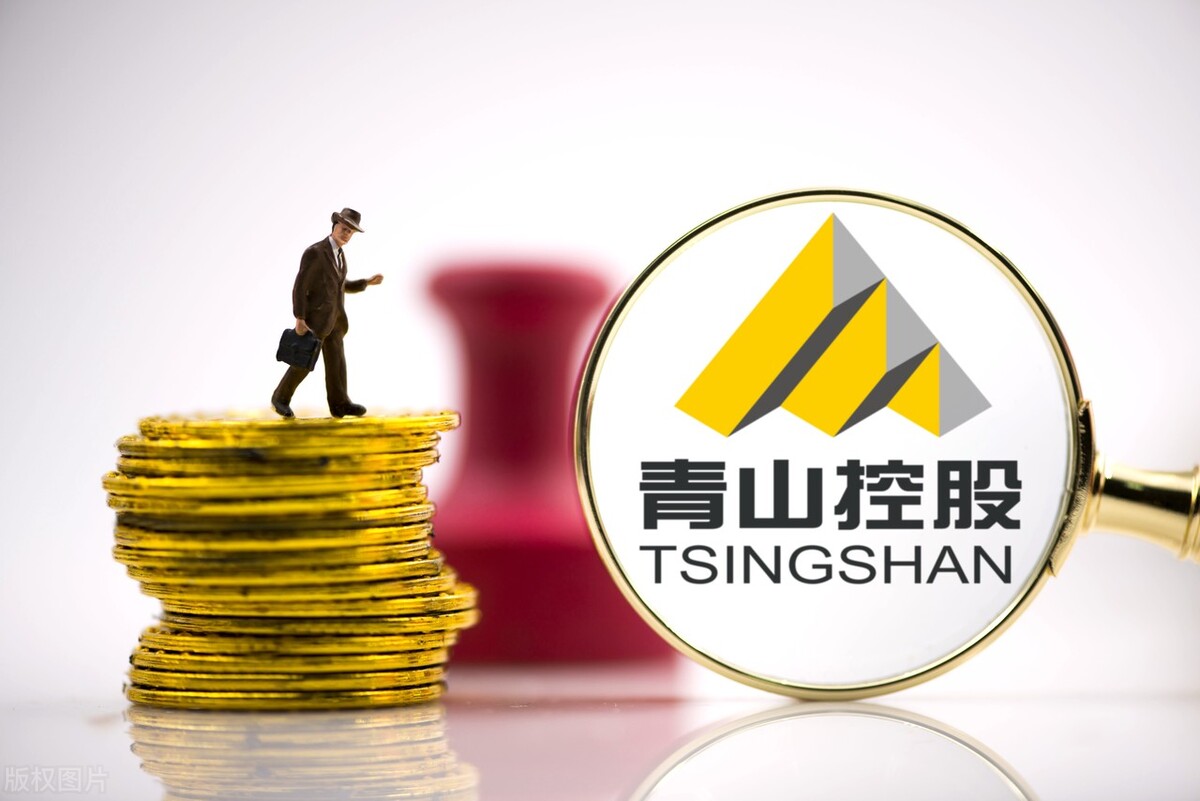 青山控股怎么拿出来的镍,青山控股的镍是什么品种