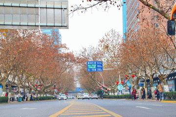 合肥有价值的老房子,合肥市区老房子还有价值吗