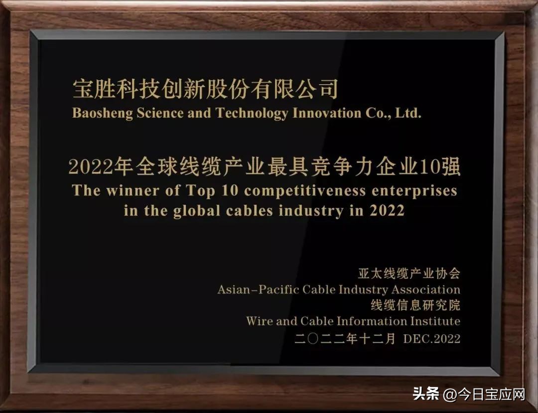 宝胜股份中国,宝胜股份行业地位及发展前景