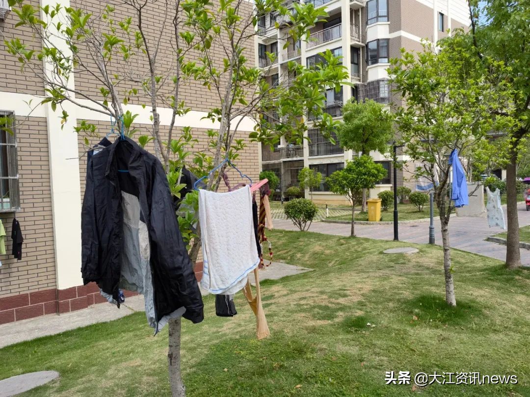 大江资讯芜湖,大江新闻采访