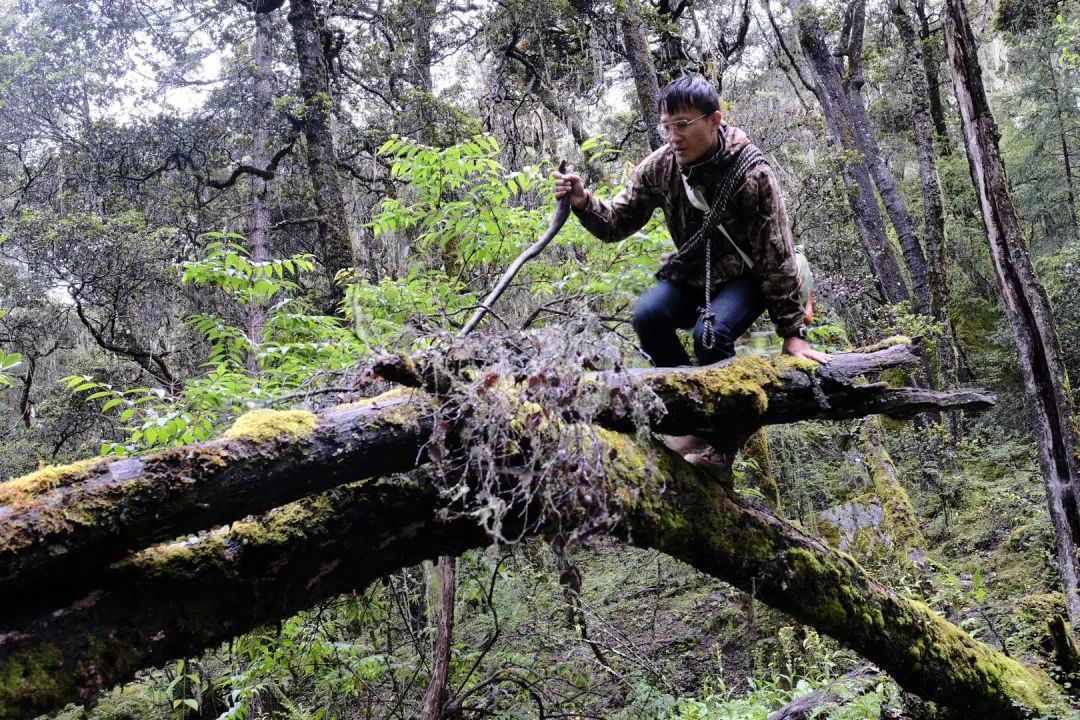 博士论文致谢怎么突然火了,博士谈论文致谢走红央视新闻