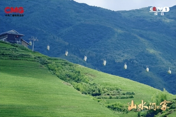 种田就是种风景！《山水间的家》见证乡村十年绿色蝶变