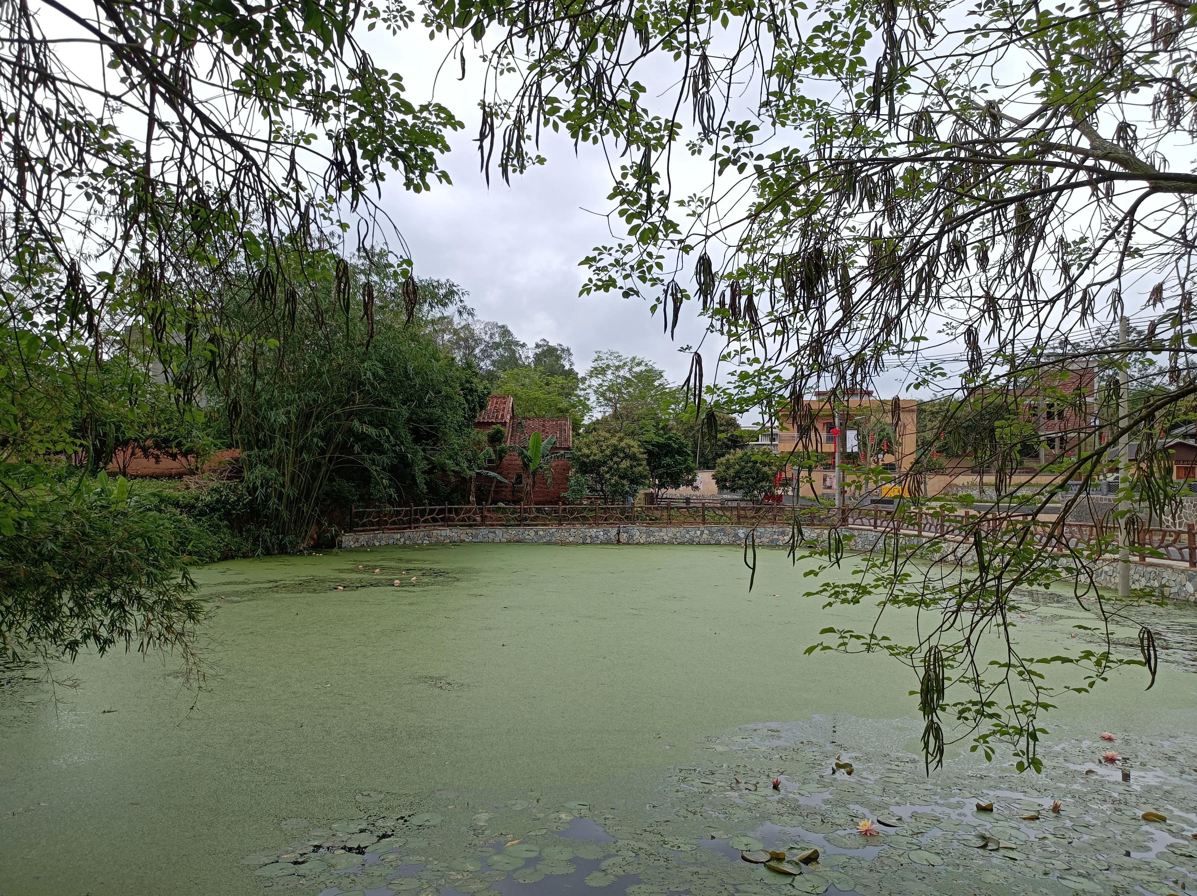 2021年6月13日骑行沽源,2023年11月份骑行活动