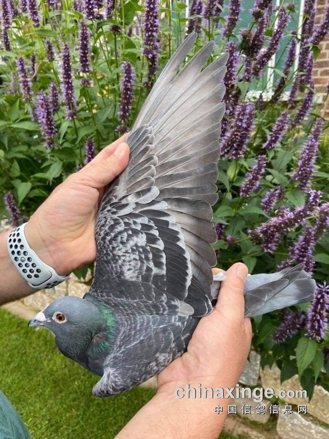 万里挑一的获奖者图片,万里挑一比赛视频