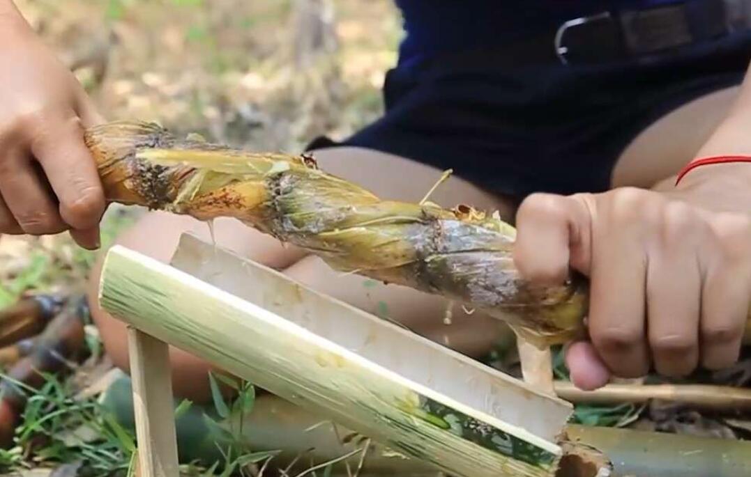 红糖做肥料会招蚂蚁有办法防止吗,过期的红糖可以撒在田里当肥料吗