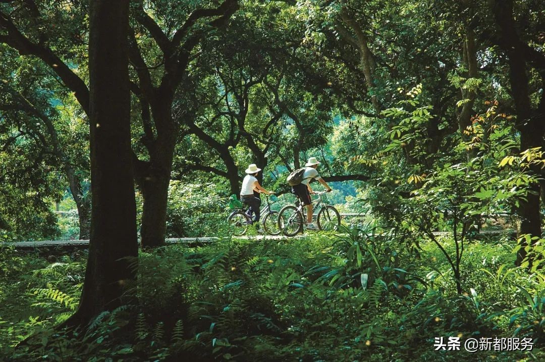 新都是镇还是区啊,什么是幸福的文案