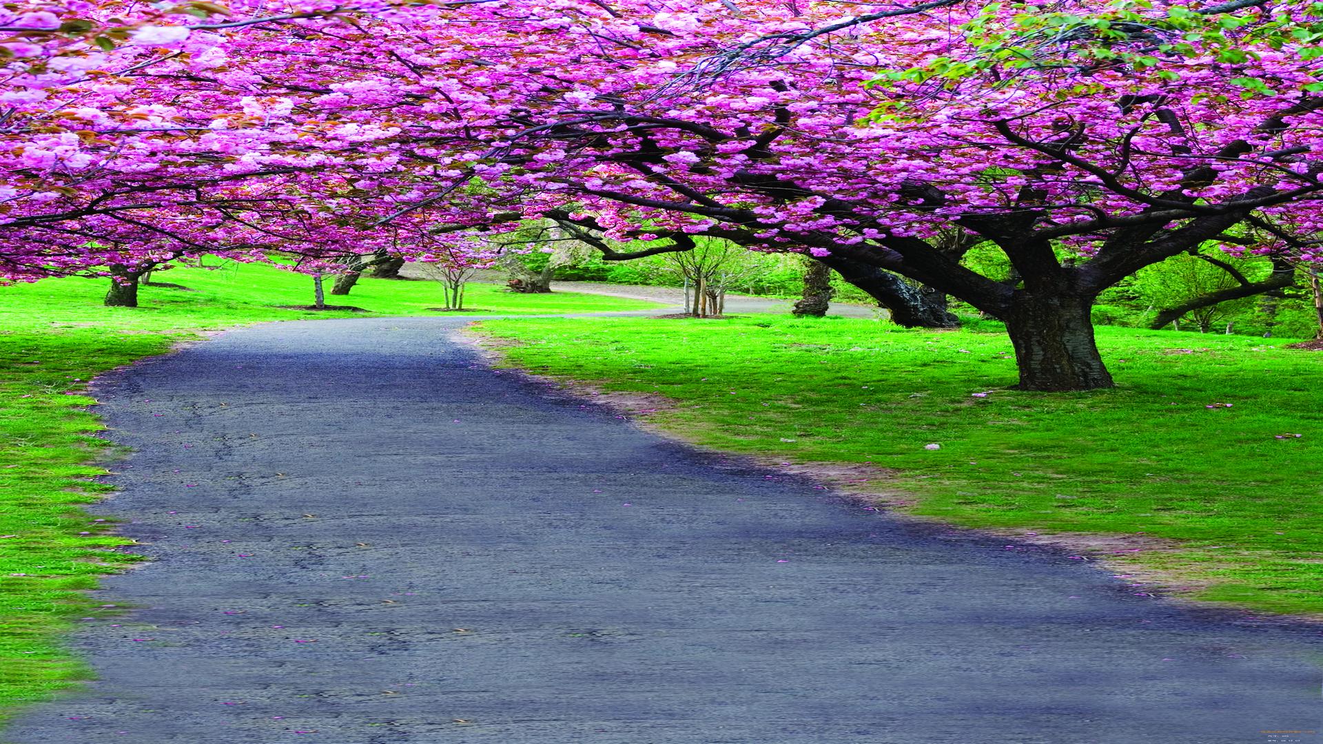 小学生写作文应该读散文书吗,初中生怎样从散文中学习写作