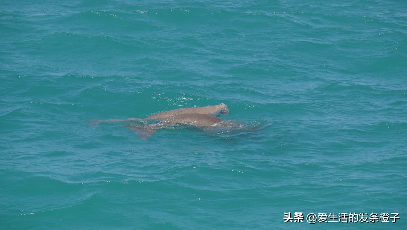 一路向北全程1980公里,西澳自驾游最佳路线图