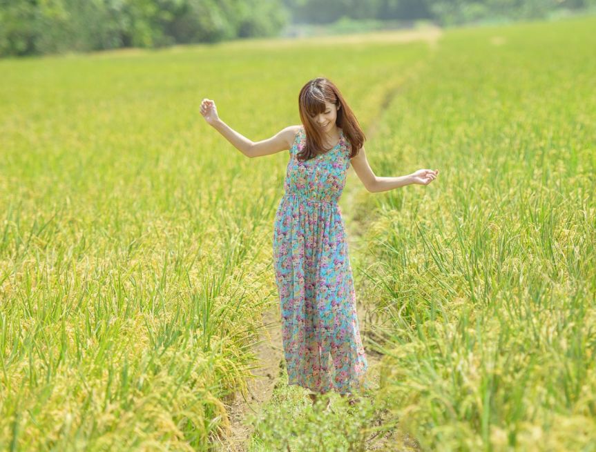 大益普洱茶品牌企业店,大益品牌文化