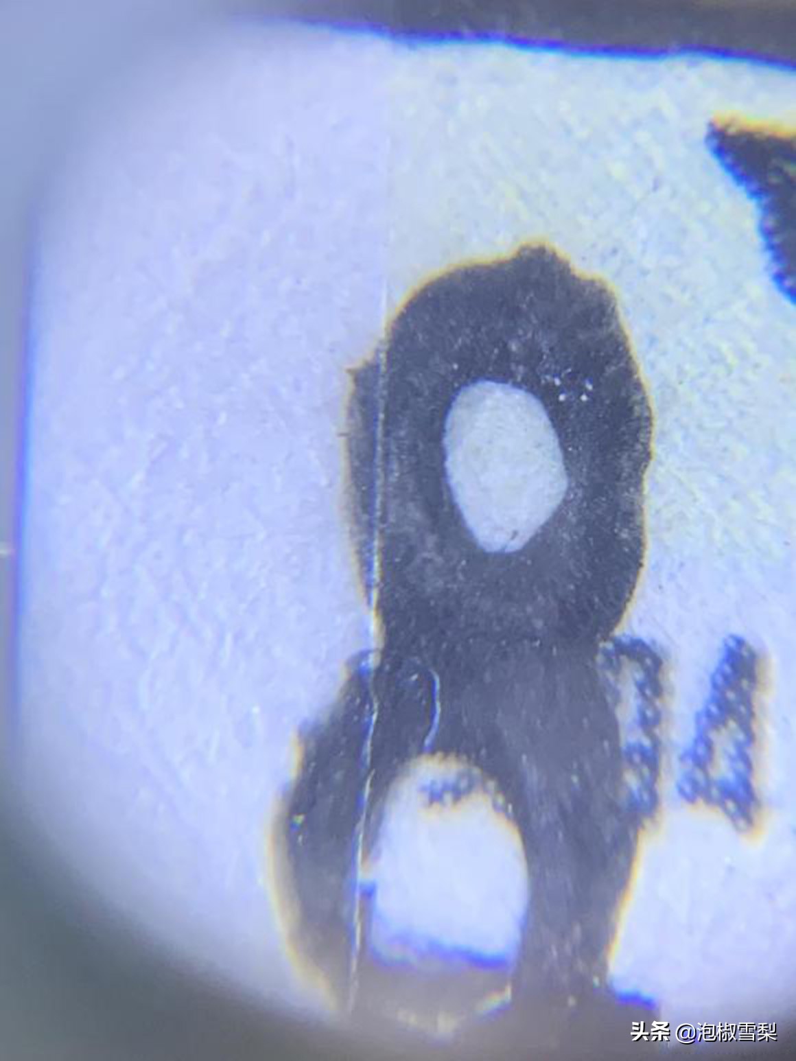 鉴别老邮票真假的最简单方法,邮票评级全品是真品吗