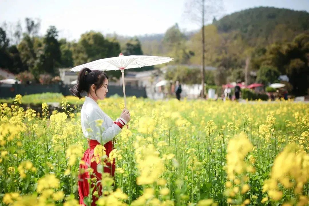 距离成都川西竹海最近的民宿,成都周边山水古村民宿推荐