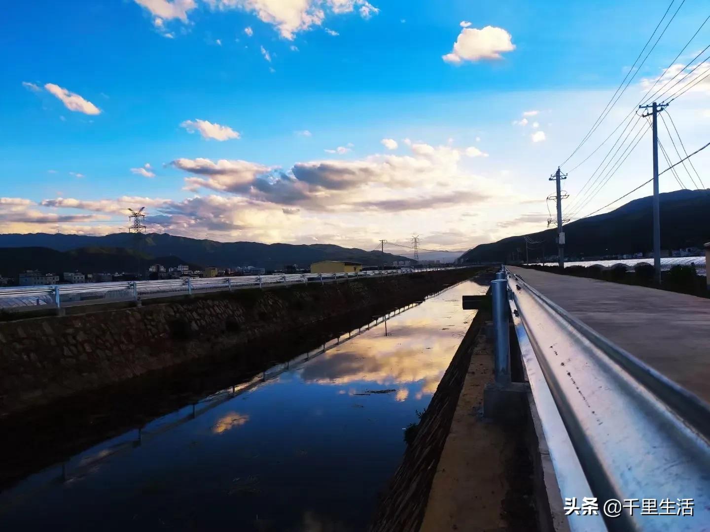 云南高山黄心白菜娃娃菜,云南哪里种娃娃菜