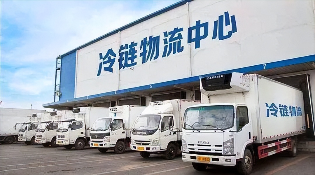 朱虹解读,朱虹讲述