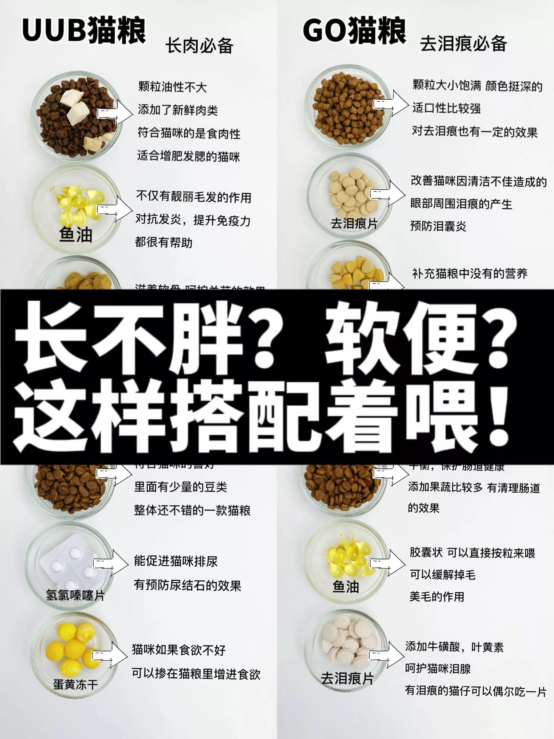 猫粮囤货省钱攻略,猫粮囤货进口